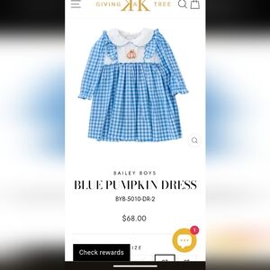 The Bailey Boys Blue Pumpkin Dress Size 3t Nwot